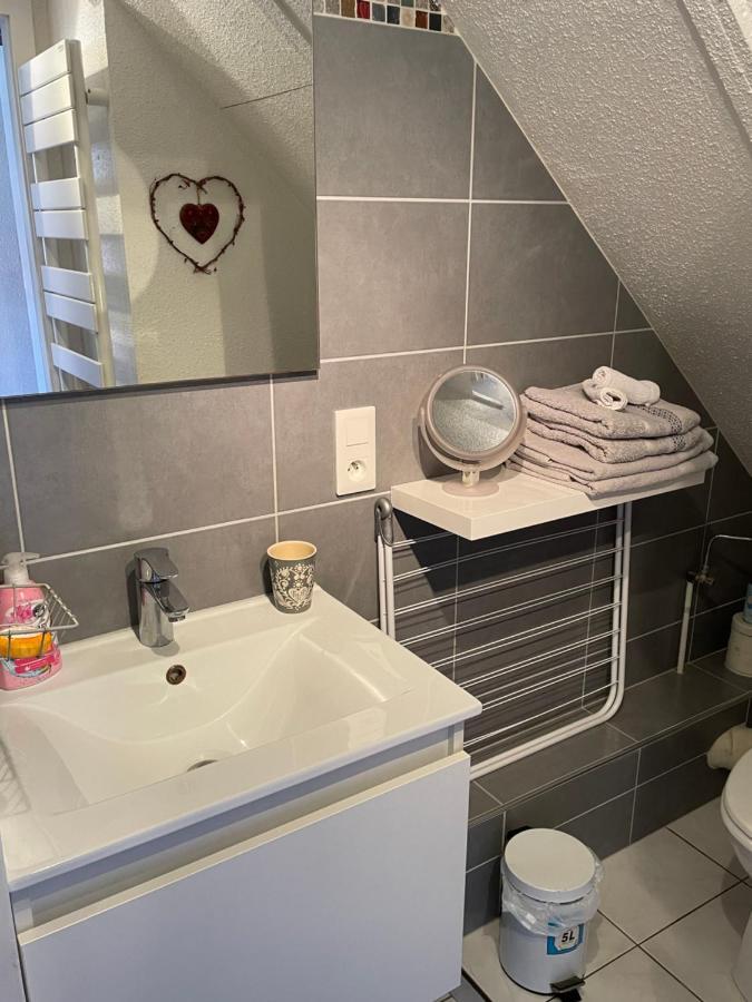 Appartamento Aux Petits Coeurs De Colmar Petite Venise Esterno foto
